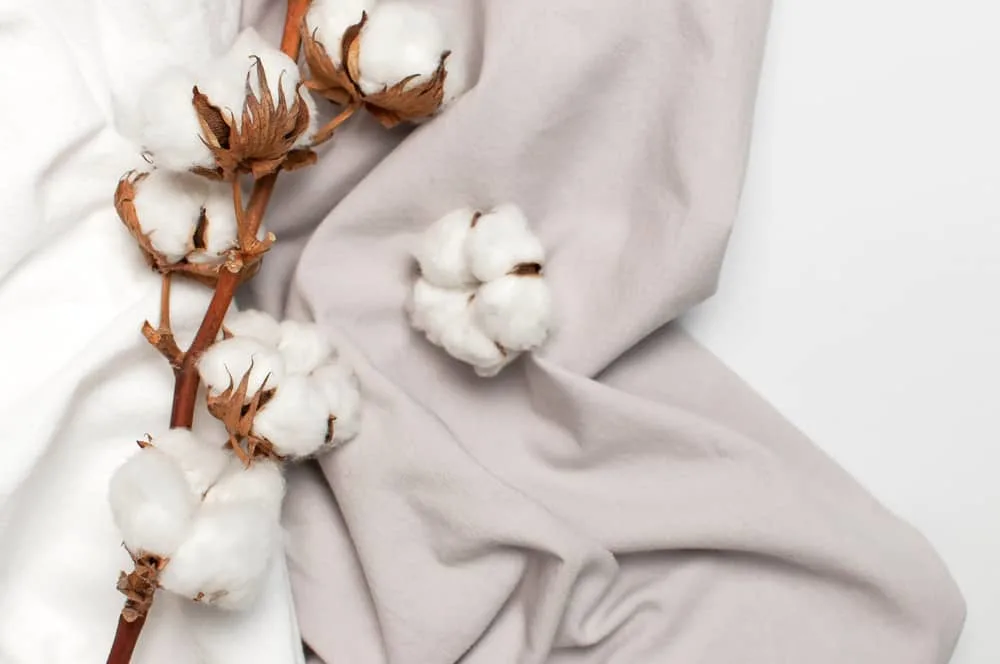 thời trang bền vững vải cotton